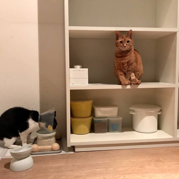 Cd5683fd f14e 4f11 8ec8 e863035d72a2 1585467226551