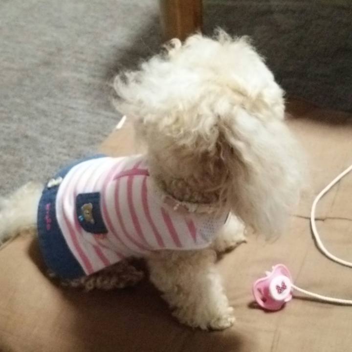 Cd569cf8 11fc 4505 98f7 d9e1c4e8ee69 1526472560597