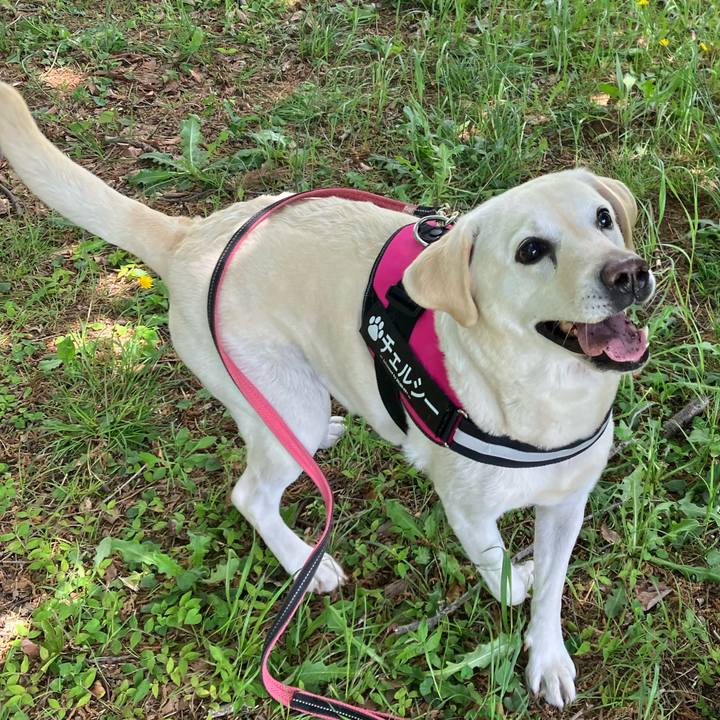 Cd56a801 b26e 43cc 8ba5 b59caa74a81a 1683351833787