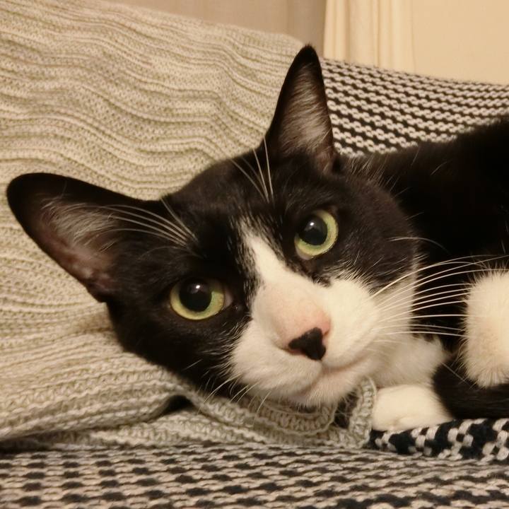 Cd56ba47 d596 4a43 8a83 e173bcce2e64 1508496075622