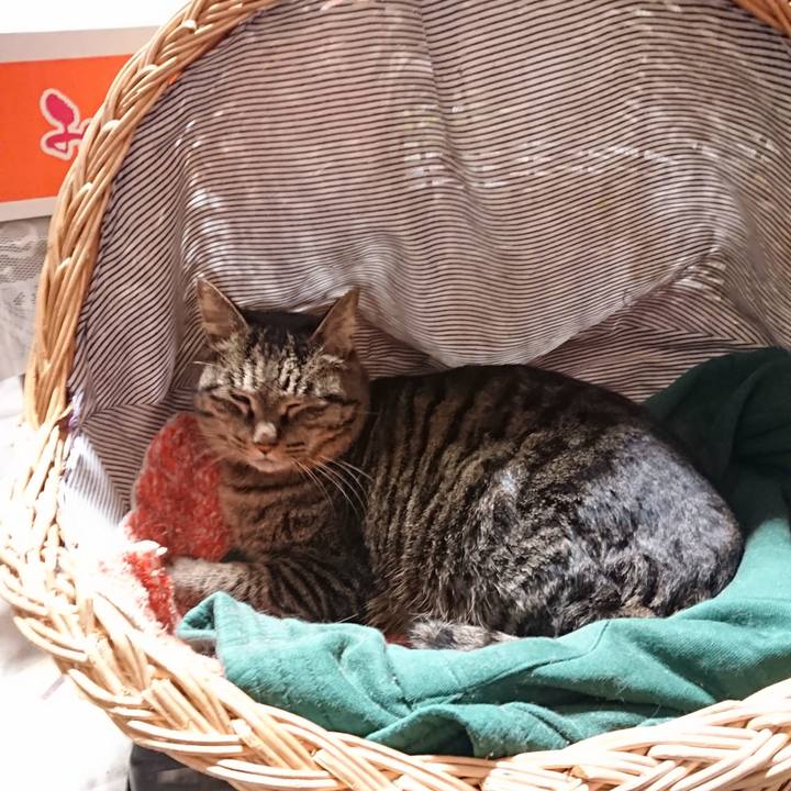 Cd56be23 d14e 465f 98dd 048ec2c0afe0 1643116951751