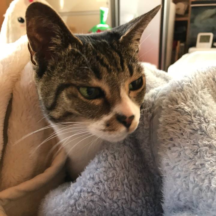 Cd56c751 af1d 4cf5 9cd1 9bca9319a1e1 1515109400110