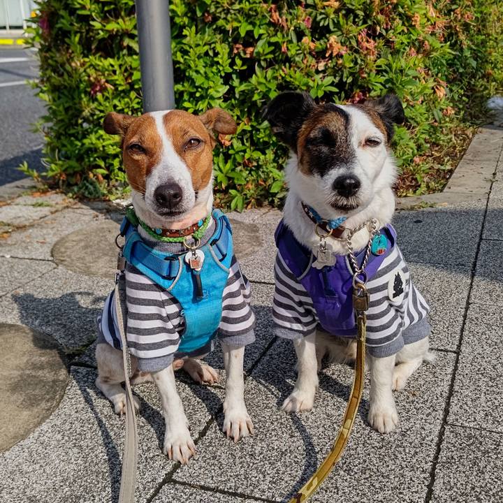 Cd56d701 79c6 46c4 98b5 1da38339f1d6 1652826947724