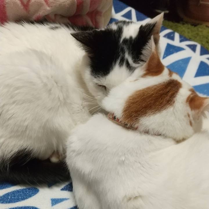 Cd571222 4851 4178 9ca4 5f55724e2d3e 1709296911021