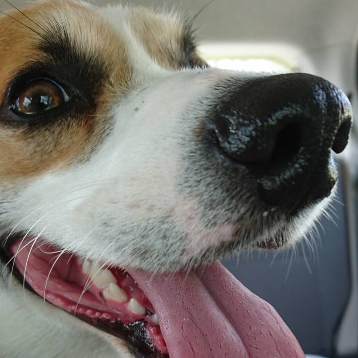 Cd571cc0 e825 471c afc3 dd176b628a45 1591318051083