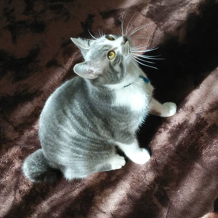 Cd5721e8 31d7 4ae9 bdb6 7a08cfcd33aa 1578627376129