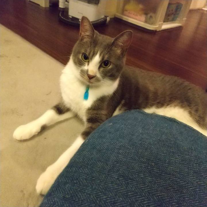 Cd578344 d47a 4267 b887 108c4ec77835 1622803818197