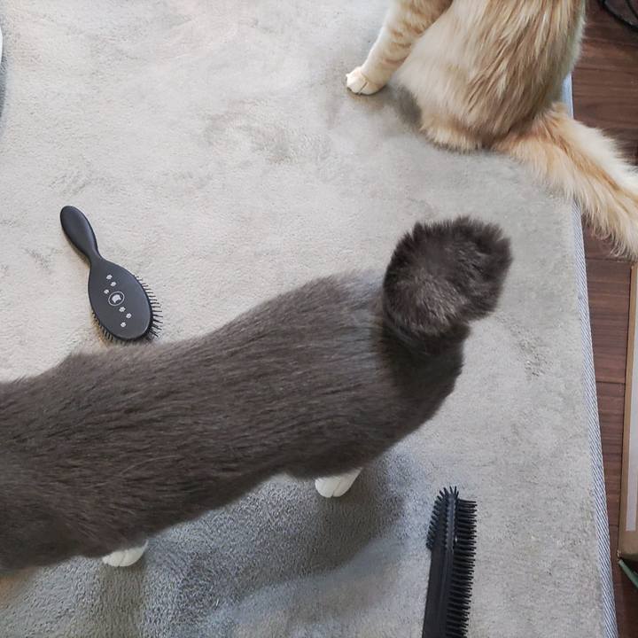 Cd57b3e1 d53a 4071 9ccc 163b54bbb868 1705819082011