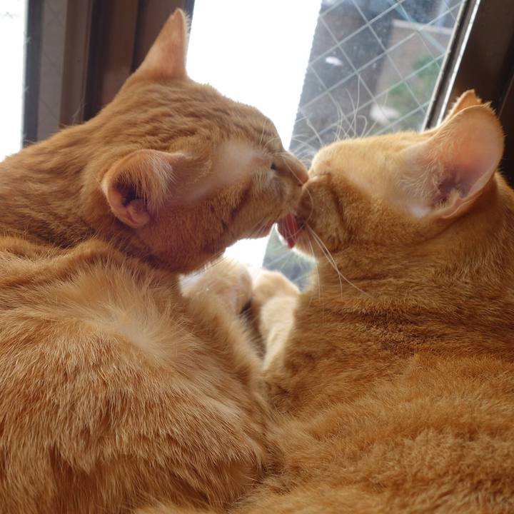 Cd57b710 b90d 4429 ab14 7cb00b5d2150 1586908922079