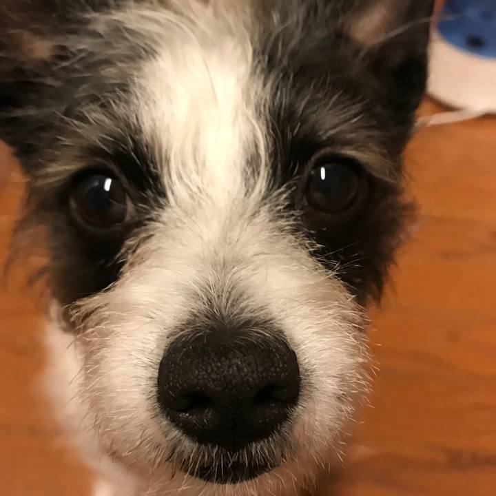 Cd57d7de 54ac 4368 97cc dc3563ae7540 1551349236432