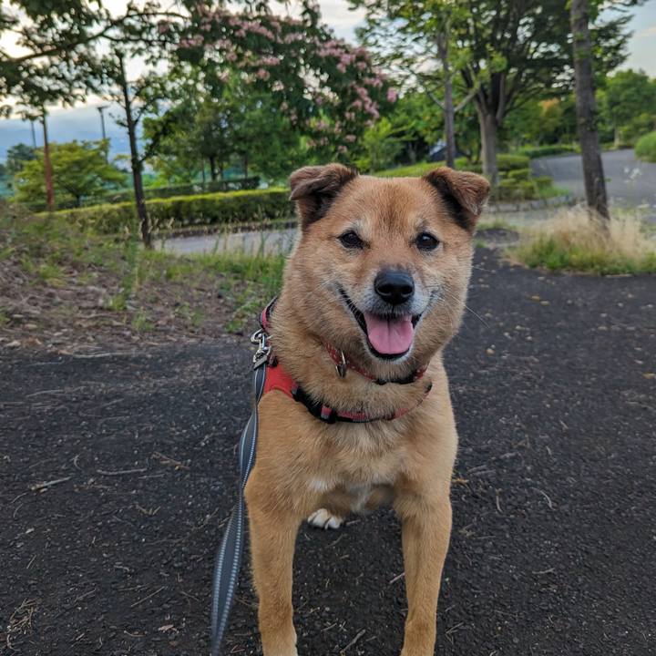 Cd57fad5 ddb4 4c3e aaaf 3cbd99508b86 1688907589640