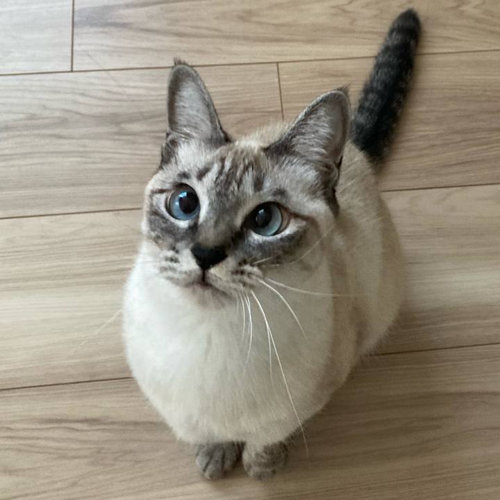 Cd58111b 3e30 4930 bcf4 3954de58b89e 1604450019169