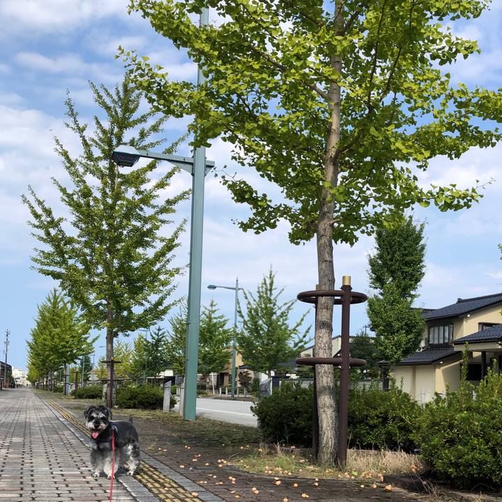 Cd581d80 5111 470b 9c4d 8593b1a48aa1 1632361475093