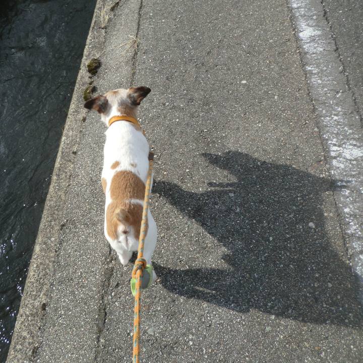 Cd583021 38dd 4bf8 a502 c75f636d26ac 1565949332392