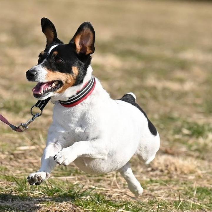 Cd584222 8fde 4585 a343 cf12c231a4d2 1740911703742