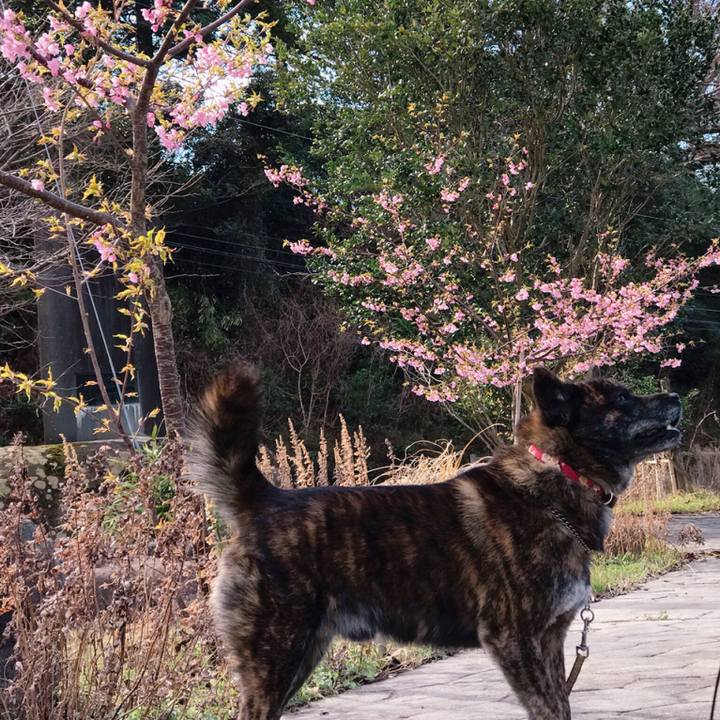 Cd586480 d2ed 4f0e aa90 588aa5f3970a 1553411258271