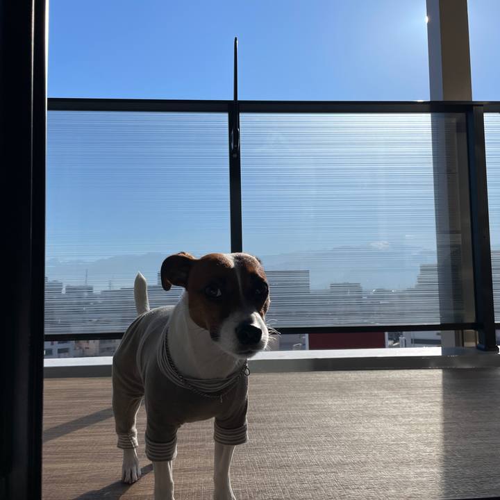 Cd586f78 76f9 47e3 a2d8 577d66982b03 1645834570063