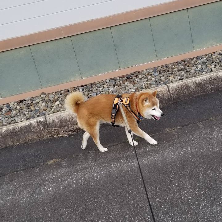 Cd58777d e9d6 4f04 89ee 1ffd44ba737c 1712819141158