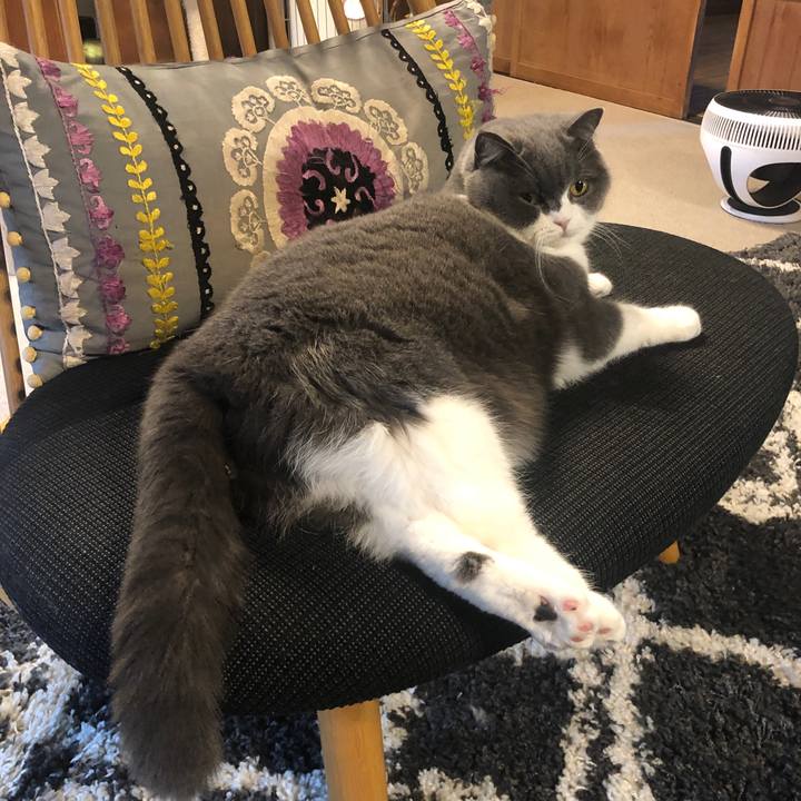 Cd58a73b 863a 4523 a1ba 71e6a1dec7a0 1611362205781