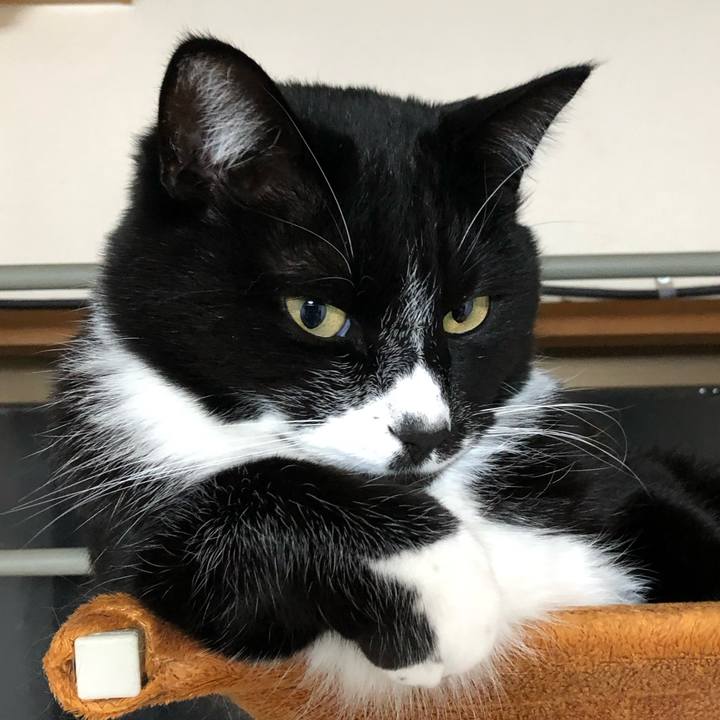 Cd58dc51 40c0 4aaa bbff 898f762bf265 1643860156663