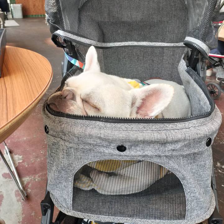 Cd590bb8 f009 4647 9b33 c85a122e7012 1687777239959