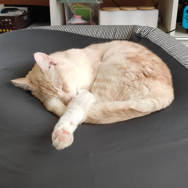 Cd592133 0559 42b3 bee6 dd364c2d871a 1660804023963