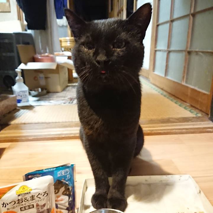 Cd59272d c1ea 4e14 9a60 434aa655c24f 1627990127505