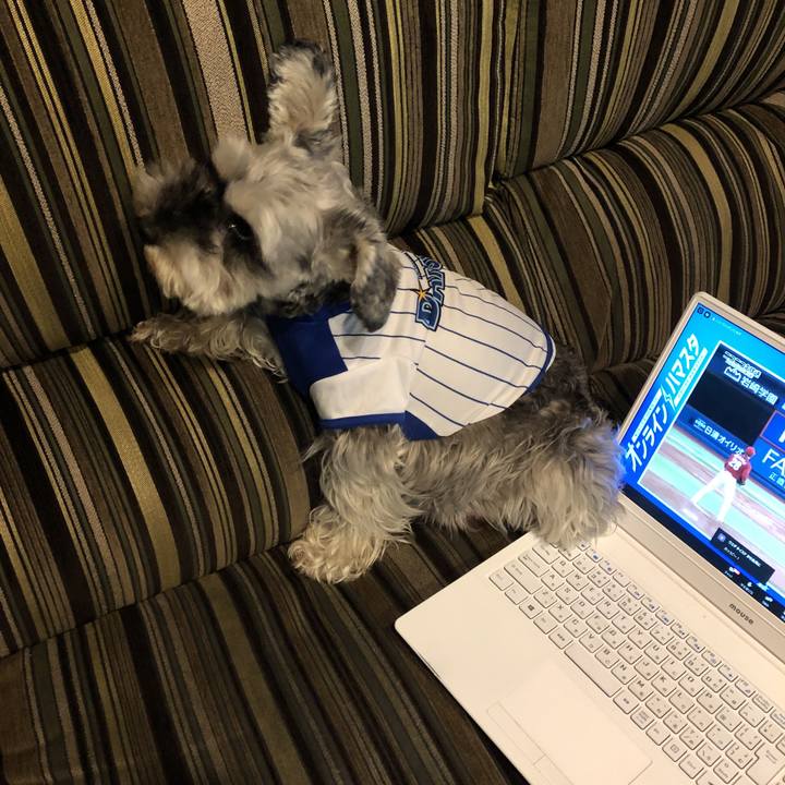 Cd592d44 be83 4526 b69a 5528948cc824 1595668764503