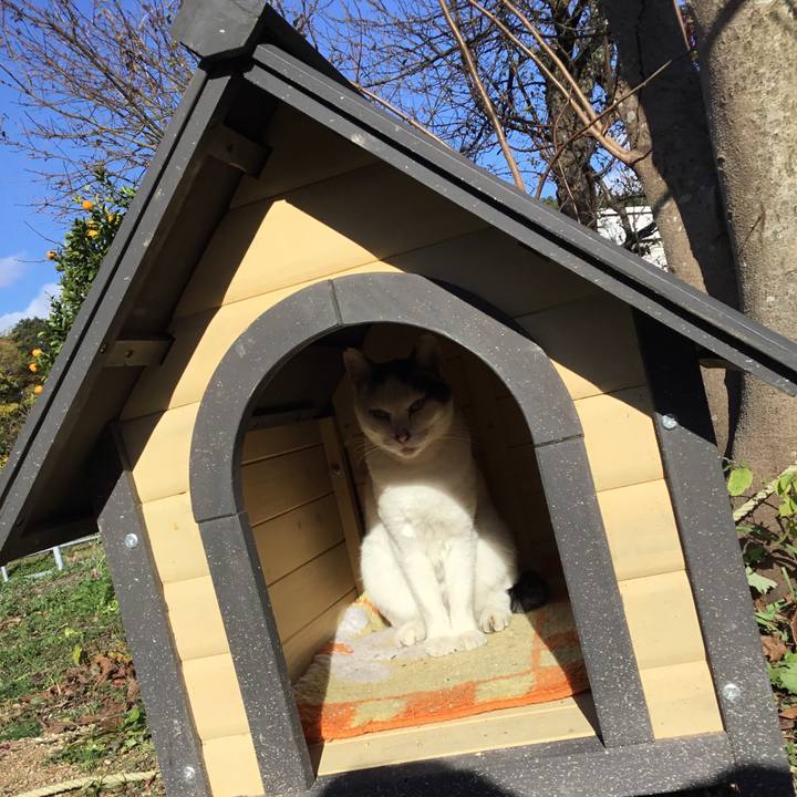 Cd598ced 54dc 48ae 9330 d11720519330 1512491062129