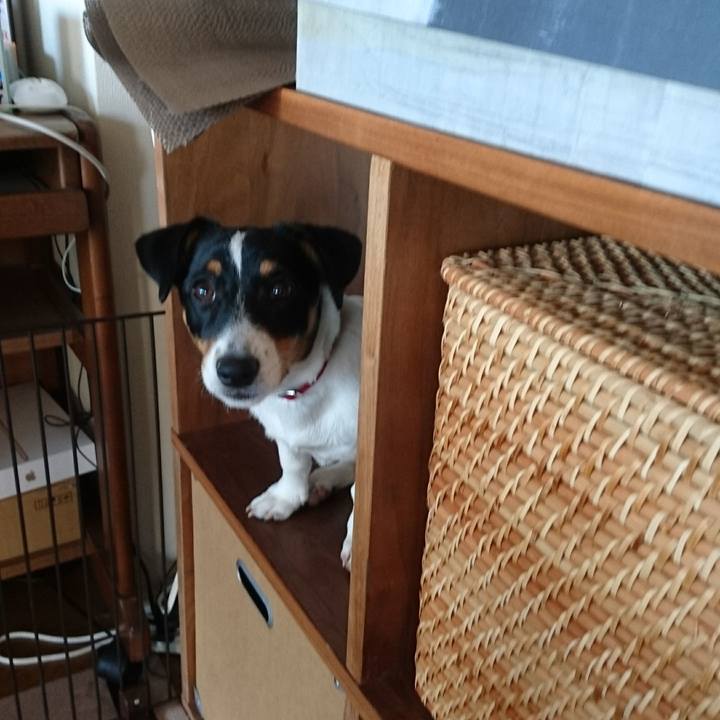 Cd59b9f3 4725 4bc2 9467 23f1e21b6257 1517992359059