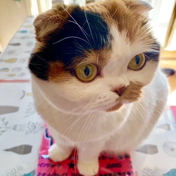 Cd59c968 1aa1 471b b60e 65748073b3cf 1569637284393