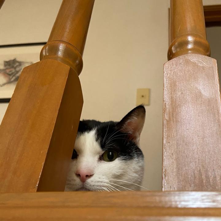 Cd59f24d 3960 4eb3 99cf ab99748d3641 1578050774763