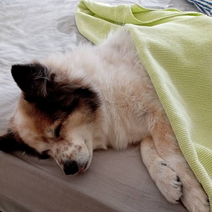 Cd59f963 6c75 42b7 b989 34e00073be82 1670587403696