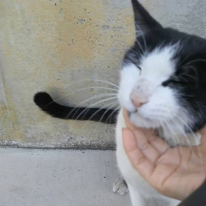 Cd5a2f8e 3bc5 4bdb 99ec a7e91b7de58f 1548834762281