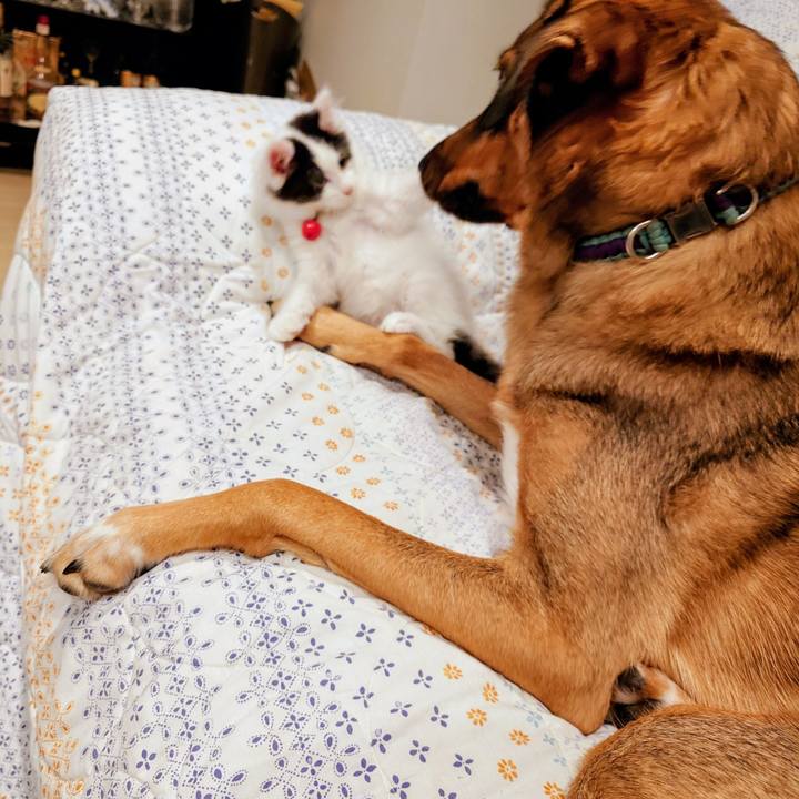 Cd5a4793 f910 4410 9000 d56d7a2735e7 1759405301586