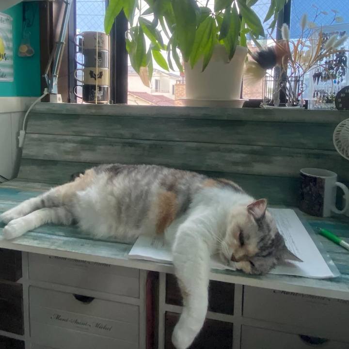 Cd5a7d6a a336 4997 aecc 1bd31ef5c63b 1752528361529