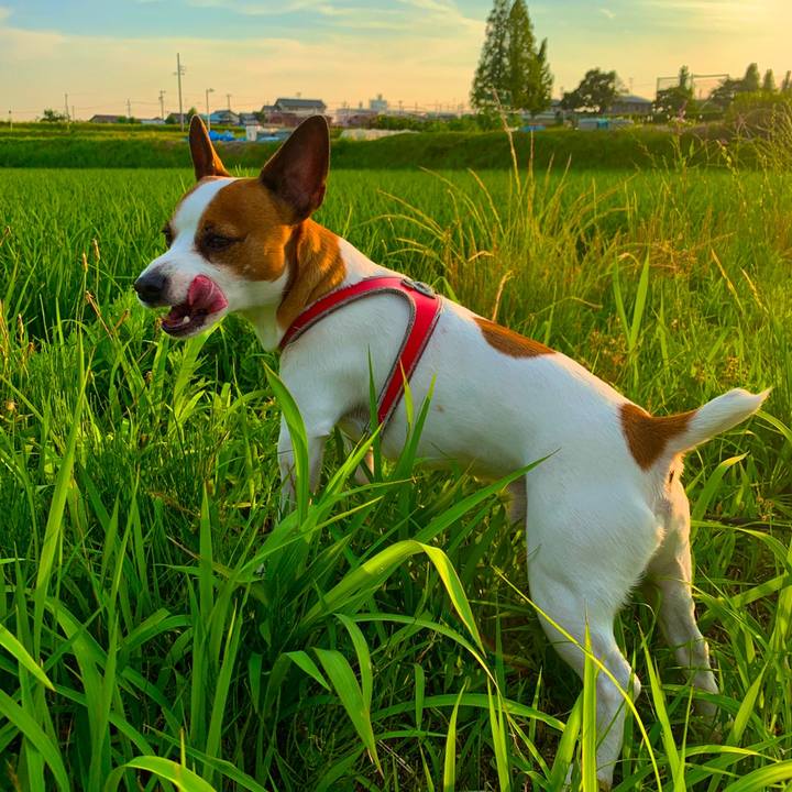 Cd5ab19c 6ebb 416d aad5 7b4d963a9141 1559842632195