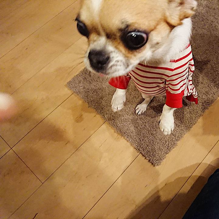 Cd5ad7ac cc82 4b73 9180 b092414731d9 1591084088904