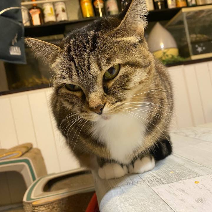 Cd5b0d3e f9e5 4b43 892e 57403f4efe33 1636899433025