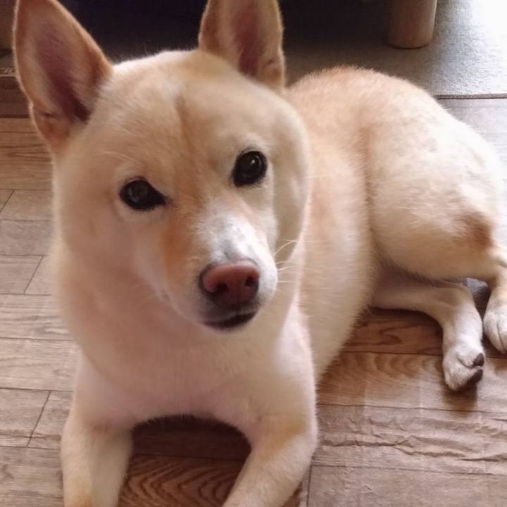 Cd5b1d69 5128 4579 bc00 cec6e1b3278e 1591735905302