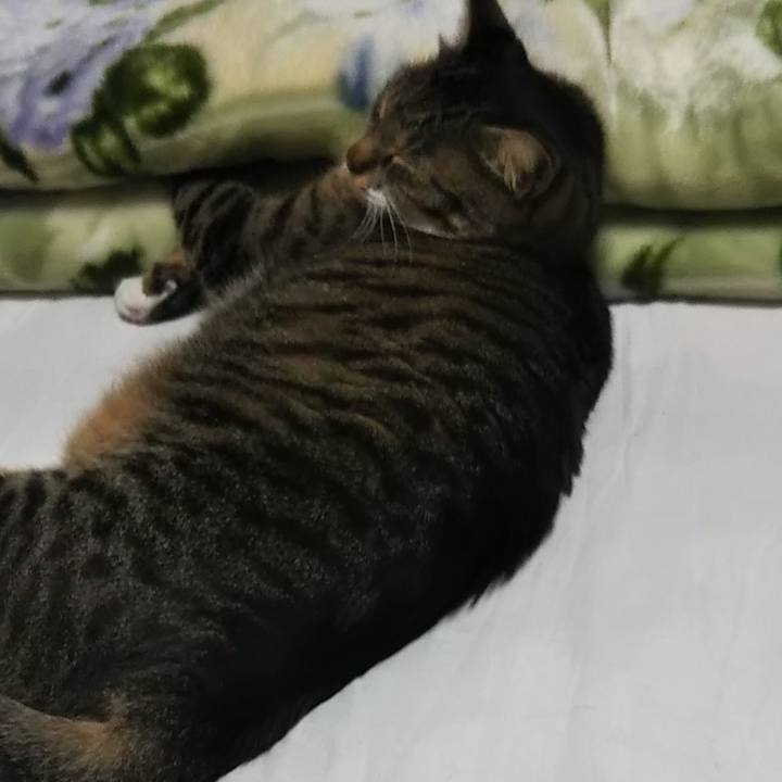 Cd5b30de bfff 470b b46b 288ab8ee5b4a 1634046541507