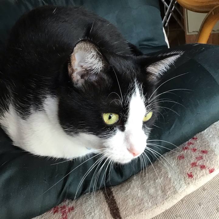 Cd5b4c50 166f 4e86 8356 2b62eabfe21b 1720329902571