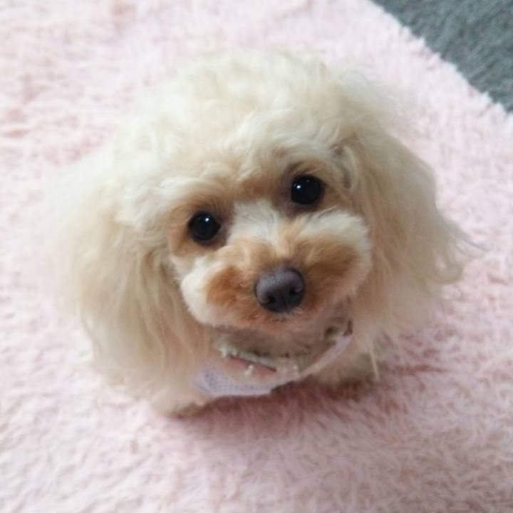 Cd5b5008 d6f8 4b3b 8283 0436d5ea8a5e 1524913258744