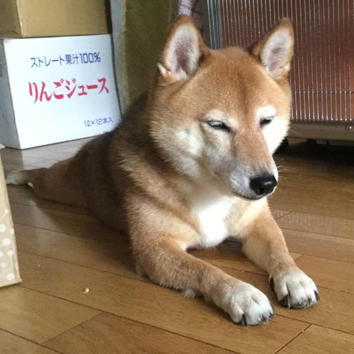 Cd5b56c1 aeef 46d6 a06b 5d928b308492 1563325229870