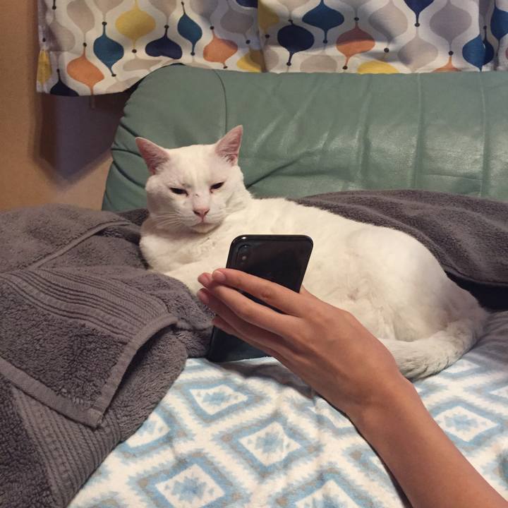 Cd5b6bc4 f085 46d4 865c 7a86fa4fefef 1537915185824