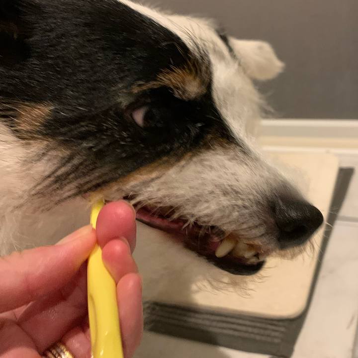 Cd5b777a 228f 4de8 8e1f e350007e27fd 1720701338307