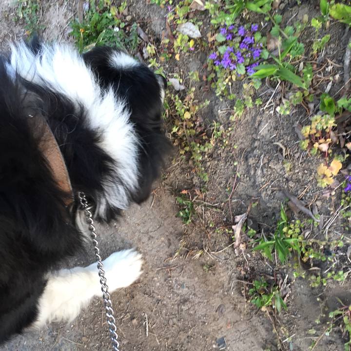 Cd5b7bfc 4bae 4665 a776 1d17b37103bb 1553641828938