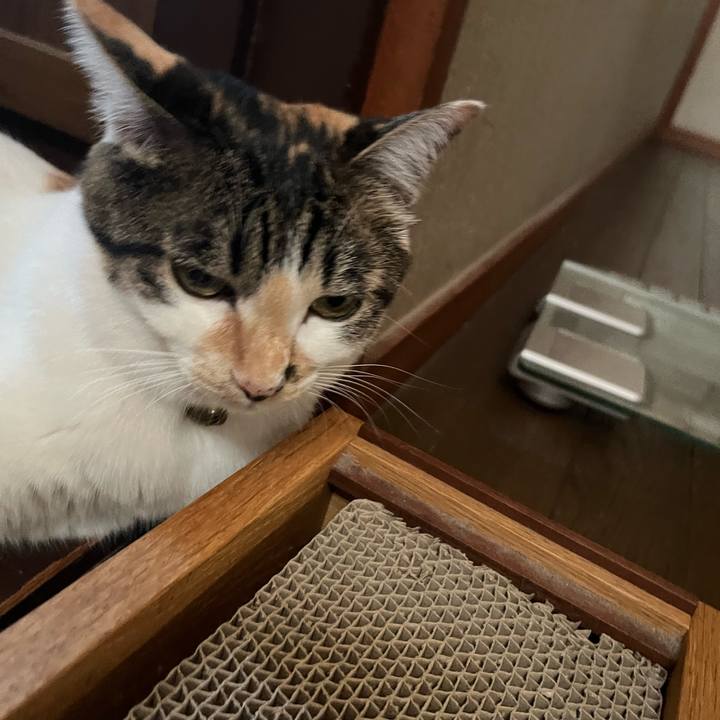 Cd5ba330 58b3 4c5e 8bbb 4a5f8f9e5403 1756427497436