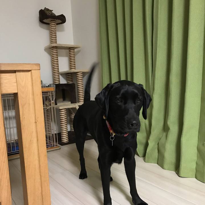 Cd5bdad2 9041 415b 9a00 0dced3fffdd1 1545275929486