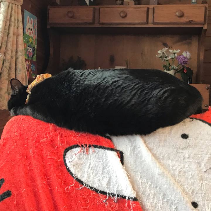 Cd5c0376 a4c9 495e 9111 c00e02cd30c4 1641509114921